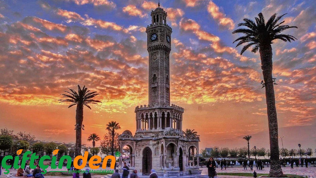 İzmir'de hangi meyve fidanları dikilir? Hangi meyveler yetişir?