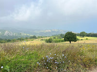Recent Post