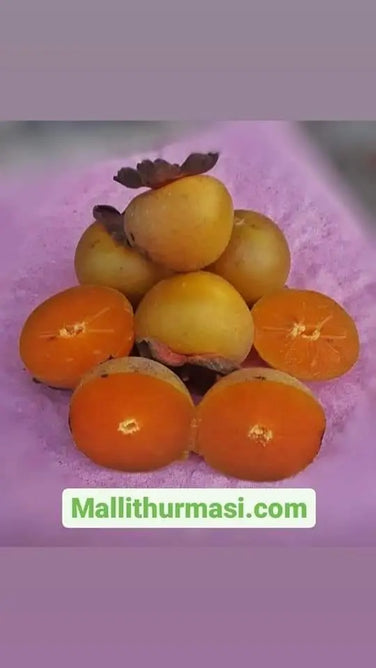 MALLİT HURMASI ( YEŞİL HURMA, KIŞ HURMASI) FİDANI
