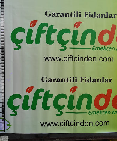 FERRAGNES TÜRÜ KOLAYCA KIRILAN BADEM FİDANI TÜPLÜ AŞILI FİDANLAR 2 YAŞ 1.6 MT