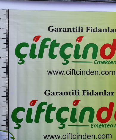 AŞILI TÜPLÜ Harbiye Çikolatalı Hurması Fidanı 2 YAŞ 1.5 MT